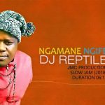 DJ REPTILE – NGAMANE NGIFE